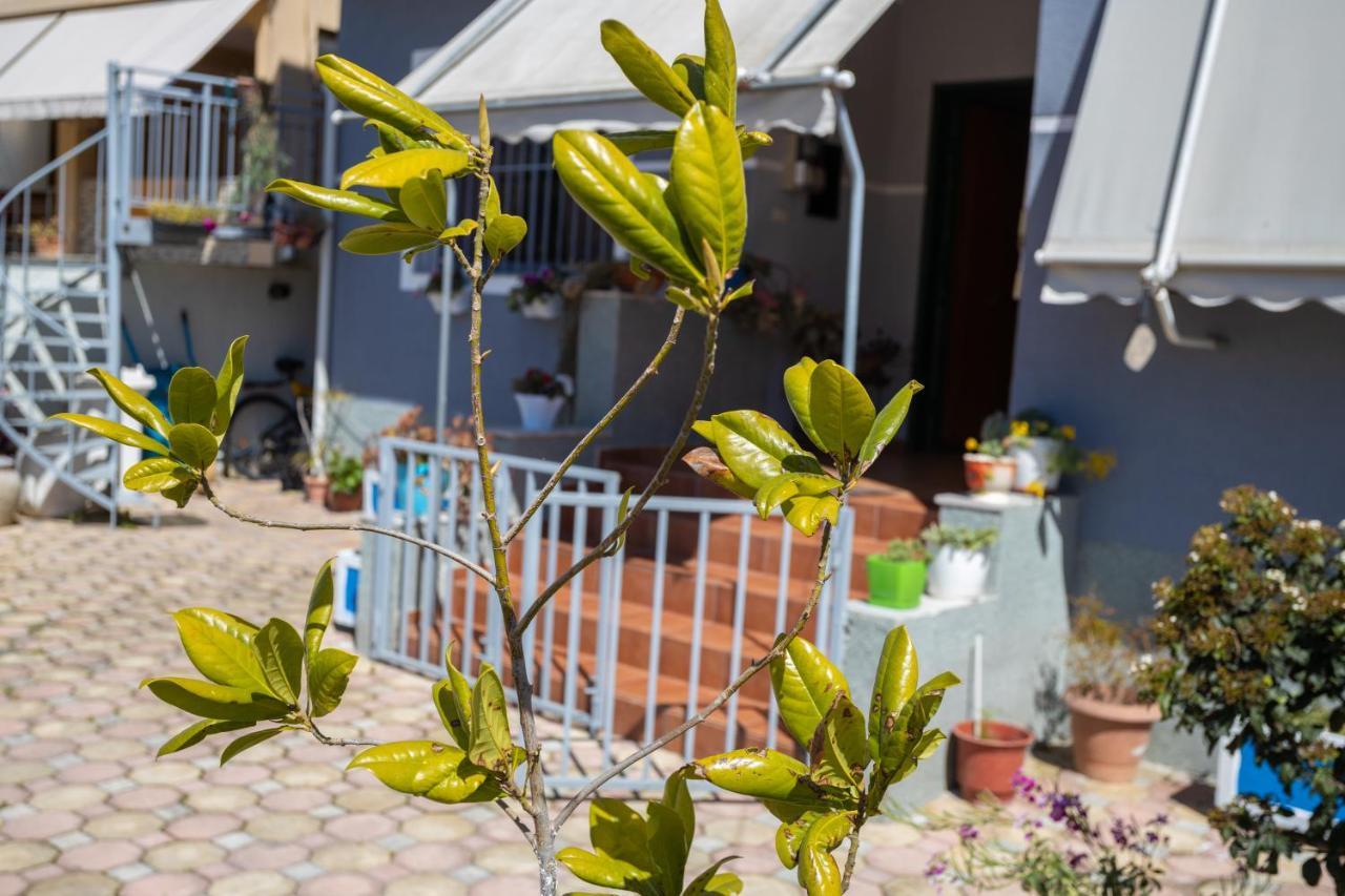 Vila Aulona Vlore Bagian luar foto